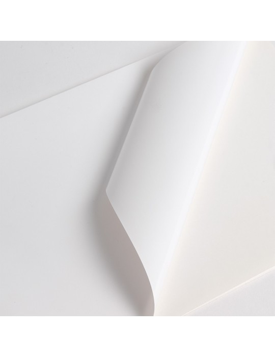 V3001WM - Blanc Mat adh permanent incolore